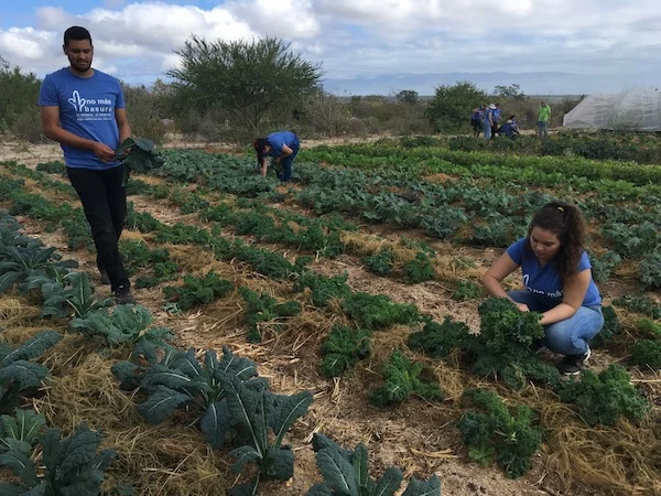cursos-horticultura-la-paz.jpg