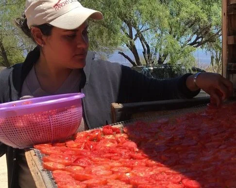 Yesenia del Carmen Aviles Meza - Assistant Cheesemaker Yesi began working at RC in 2017 in the seed-saving garden, which is on site with the creamery. While she developed her gardening skills, cheesemaking peaked her interest. She began to work in the creamery some days of the week and now is Yeni's assistant cheesemaker. She is a hard worker with a positive attitude and is knowledgeable about a multitude of subjects related to the ranch.