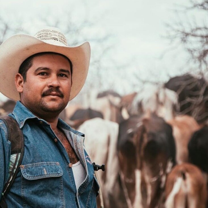 holistic-livestock-management.jpg