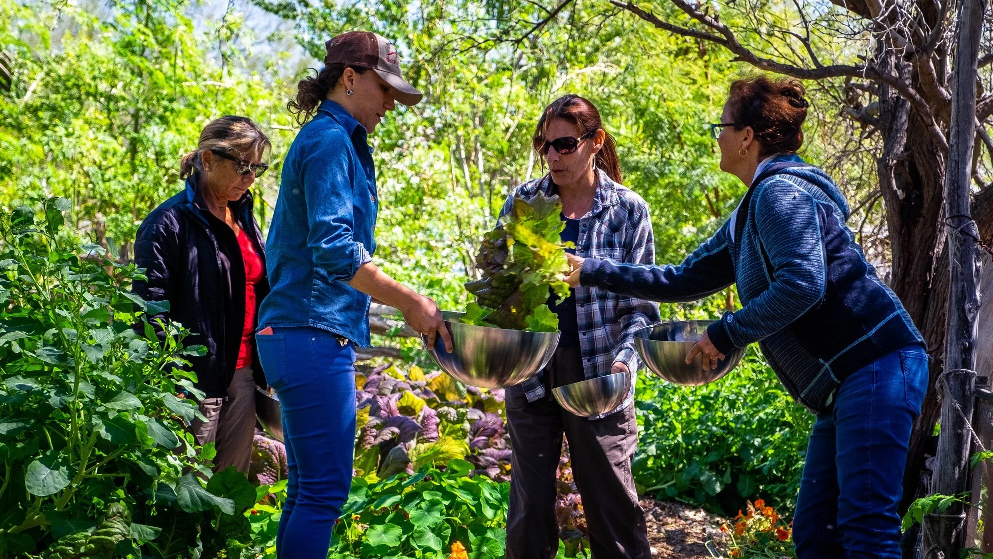 Fresh-Organic-Garden-Salad.jpg