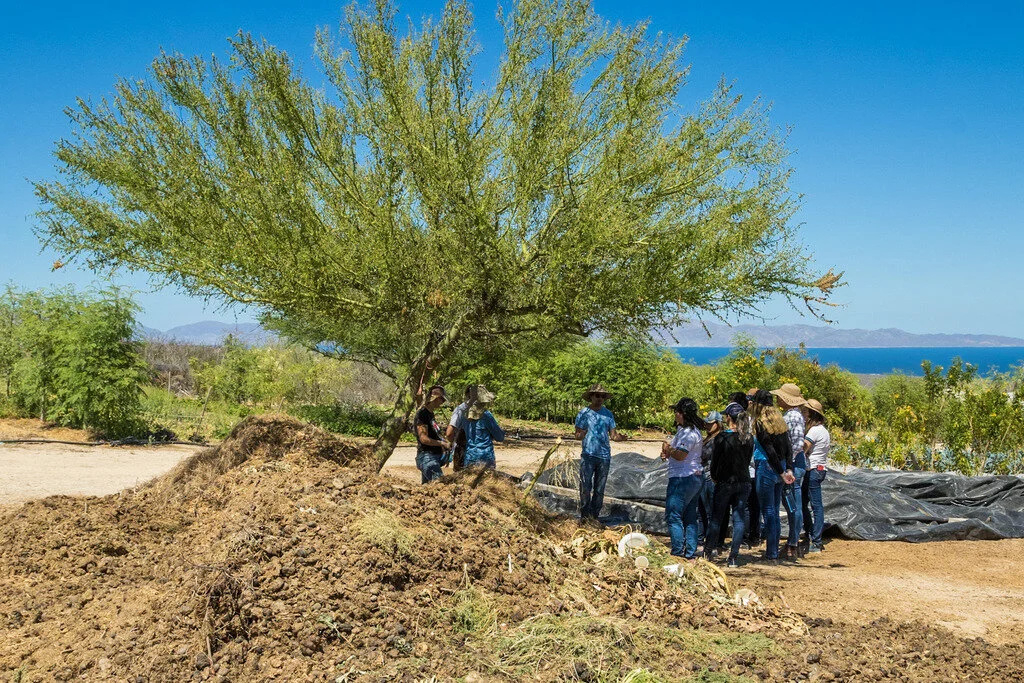 composting_workshop_rancho_cacachilas_2.jpg