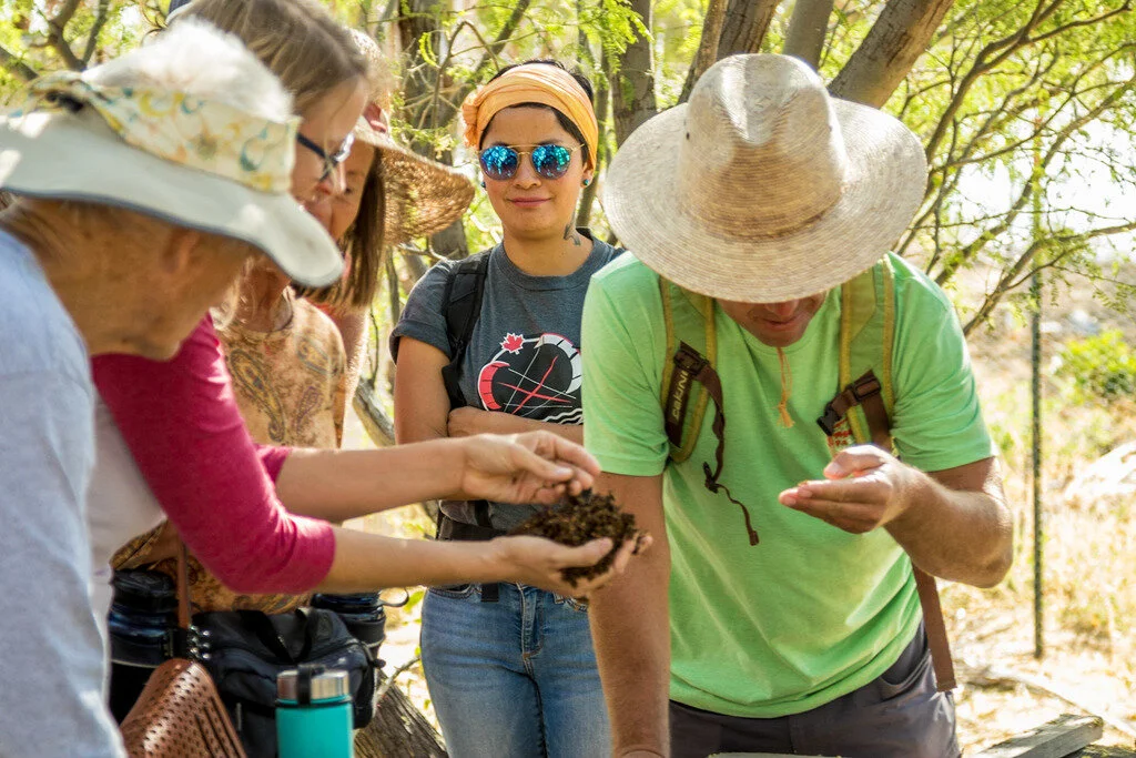 composting-workshop-december.jpg