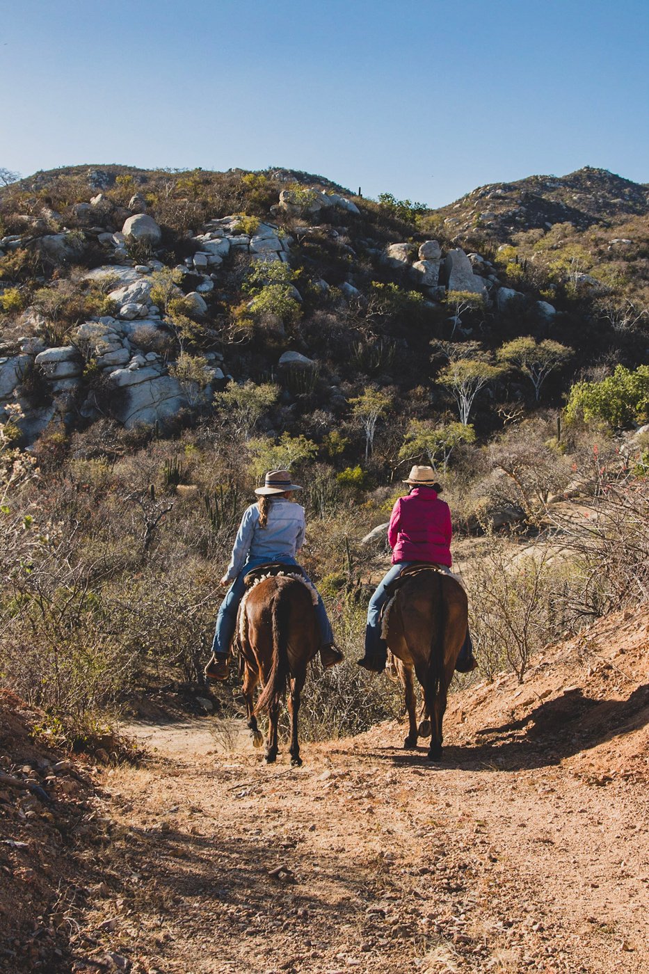 MULE RIDE