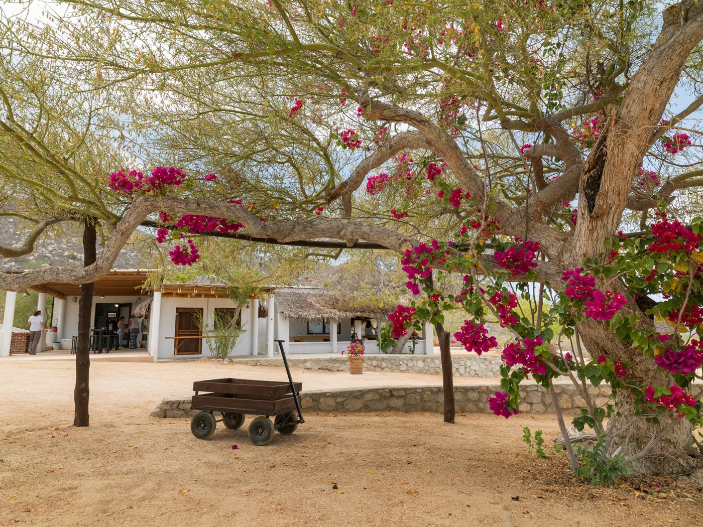 Rancho-Cacachilas-Ranch-Adventure-Camp-Baja-California-Sur-Mexico.jpg