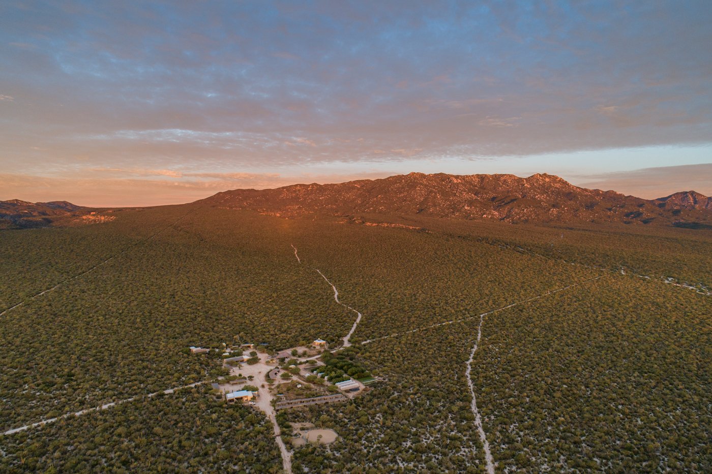  Our regenerative practices foster harmony for biodiversity and community.   OUR REGENERATIVE WORK     LEARN MORE   