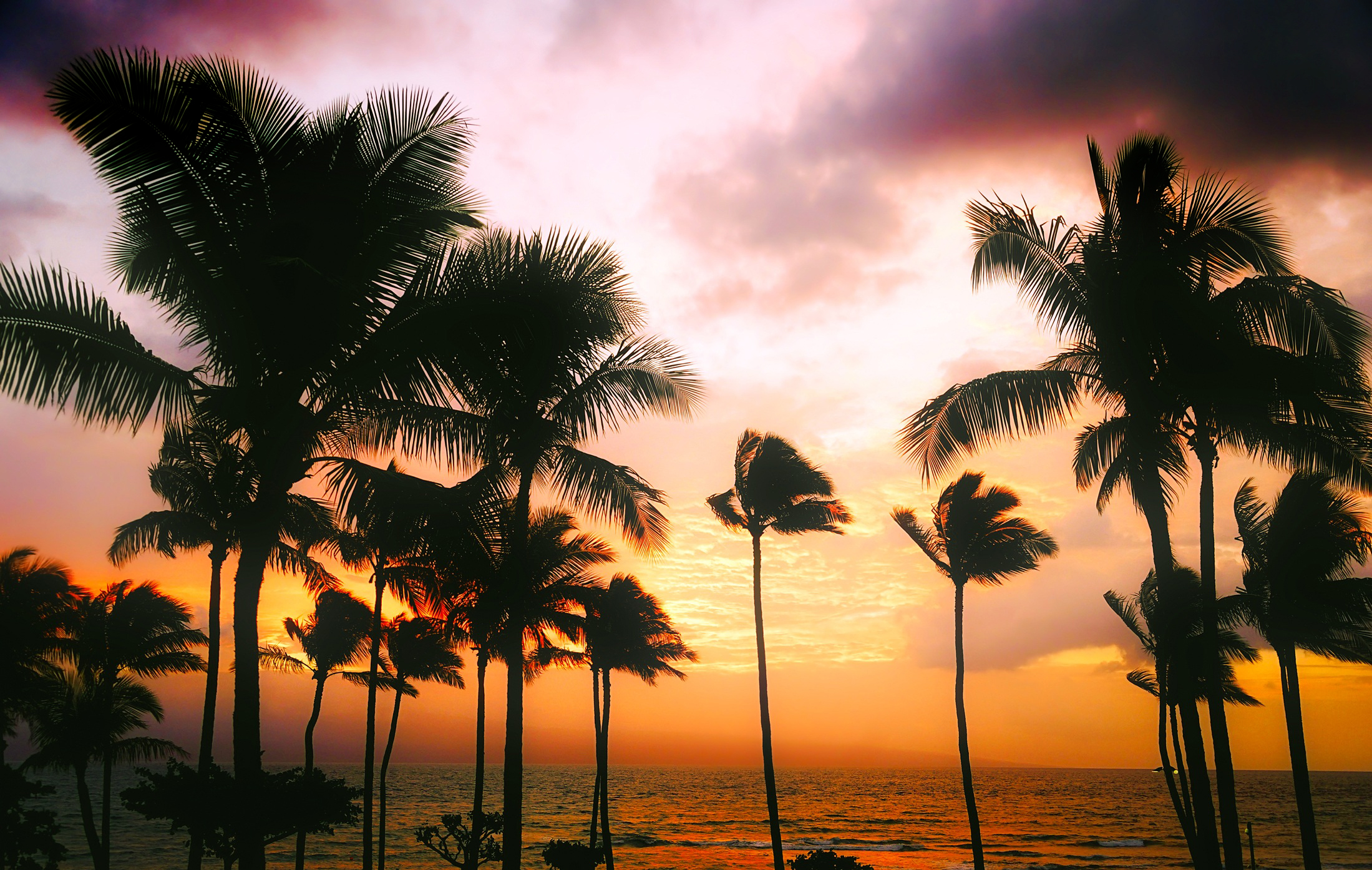 hawaii-1945486.jpg