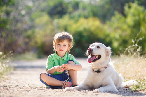 shutterstock_317183798.jpg