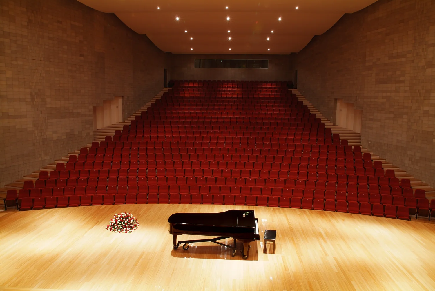 DSCF0555_1---copia.jpg