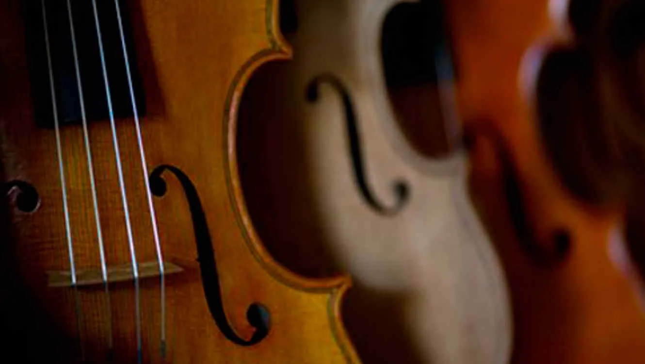 Cuarteto de Cuerdas "Expresiones"