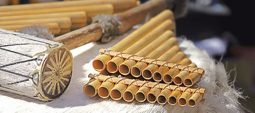 ELEMENTALES MÚSICA ANDINA