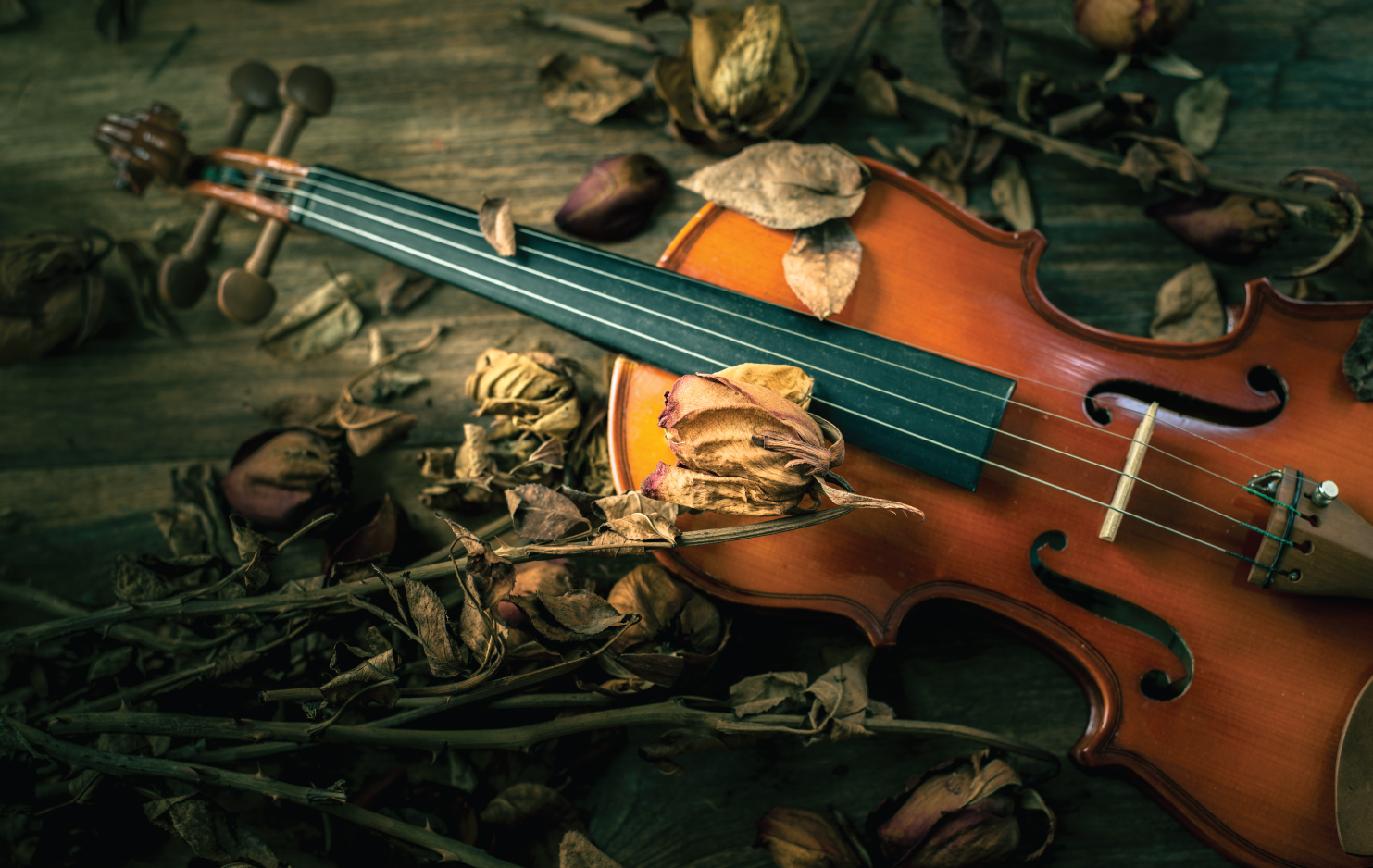 Las Cuatro Estaciones de Vivaldi