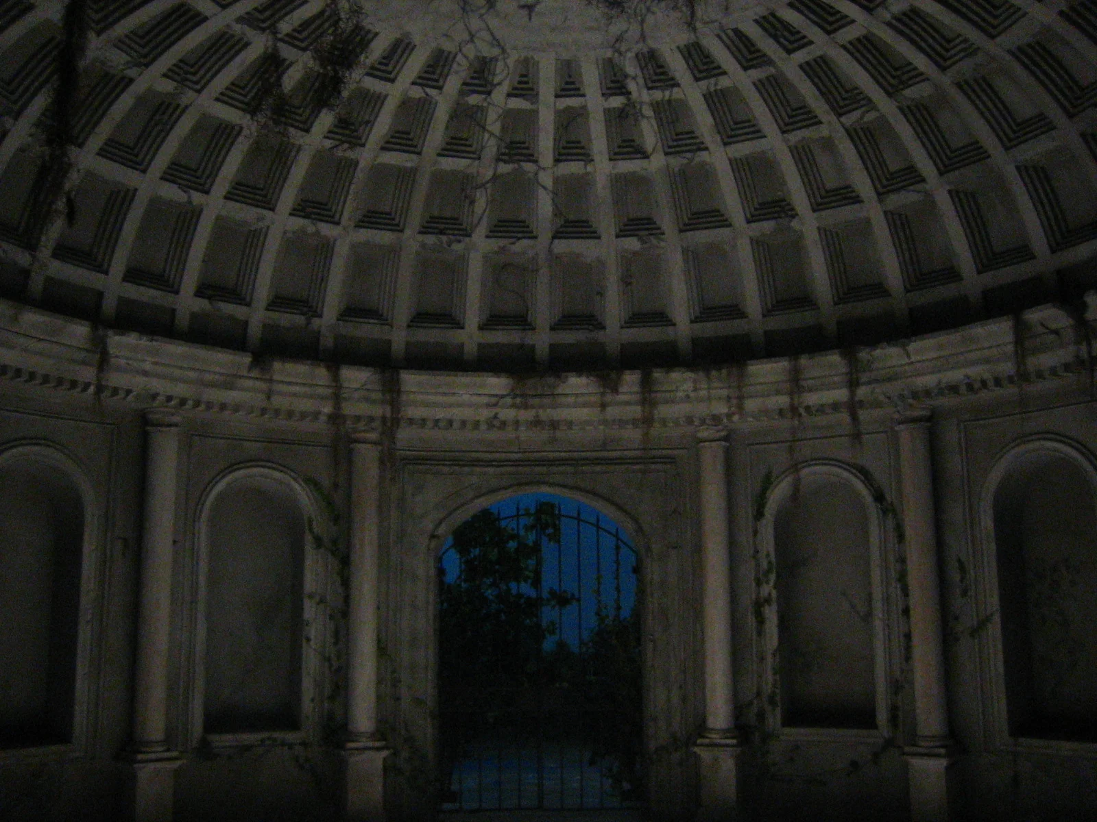 IMG_8864.JPG
