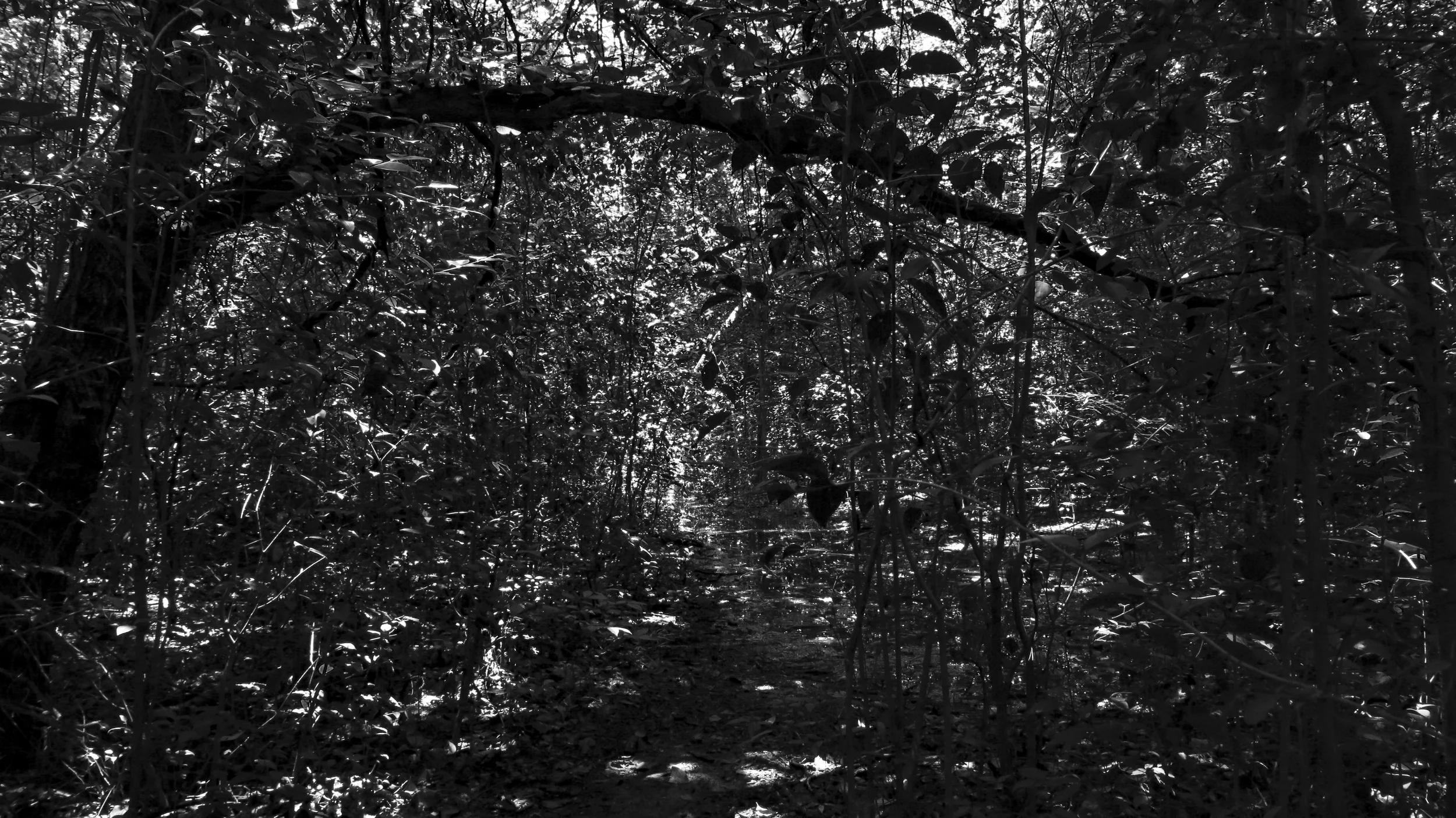 B8.jpg