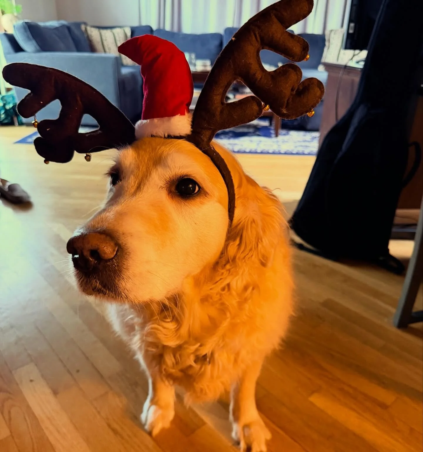 It&rsquo;s getting wild in here!!