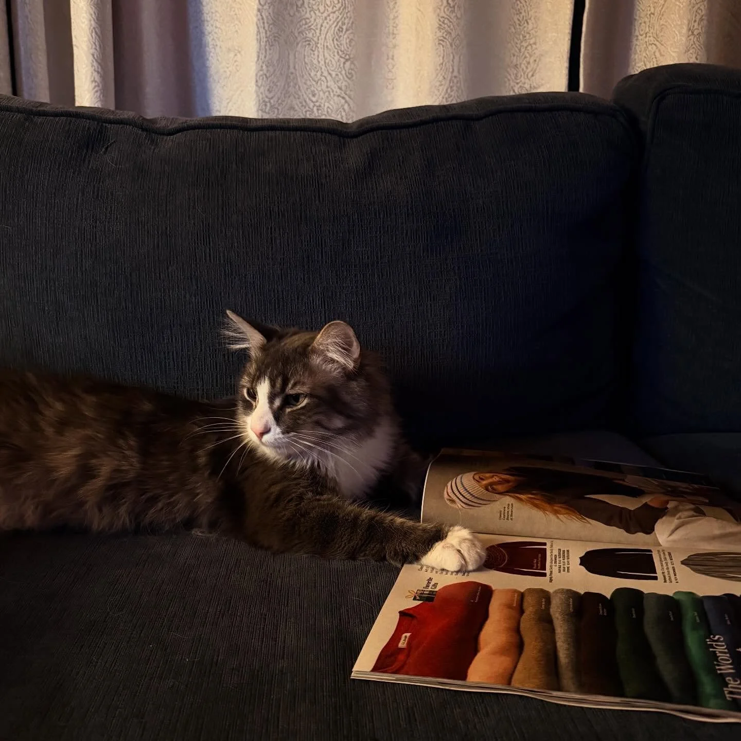 Leo is picking out gifts from the @llbean catalog.