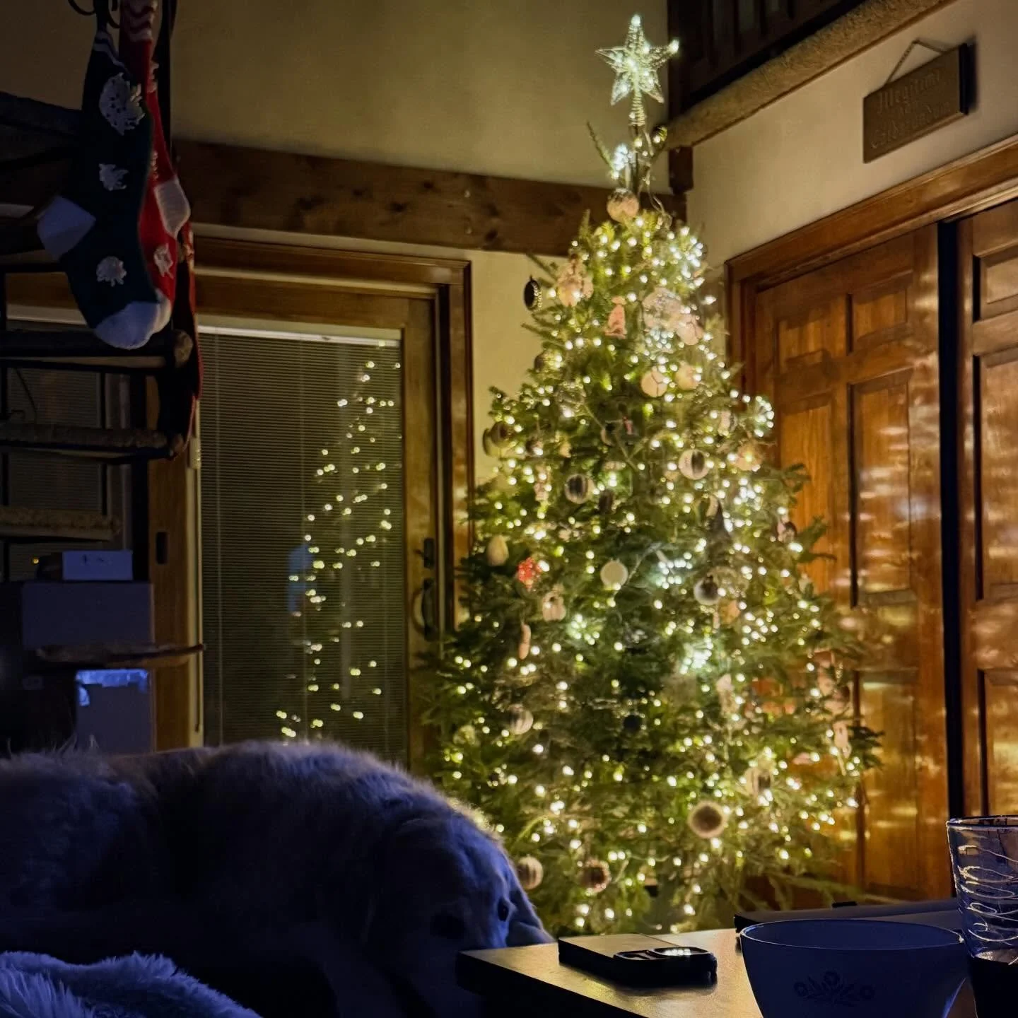 It&rsquo;s the most wonderful time of the year