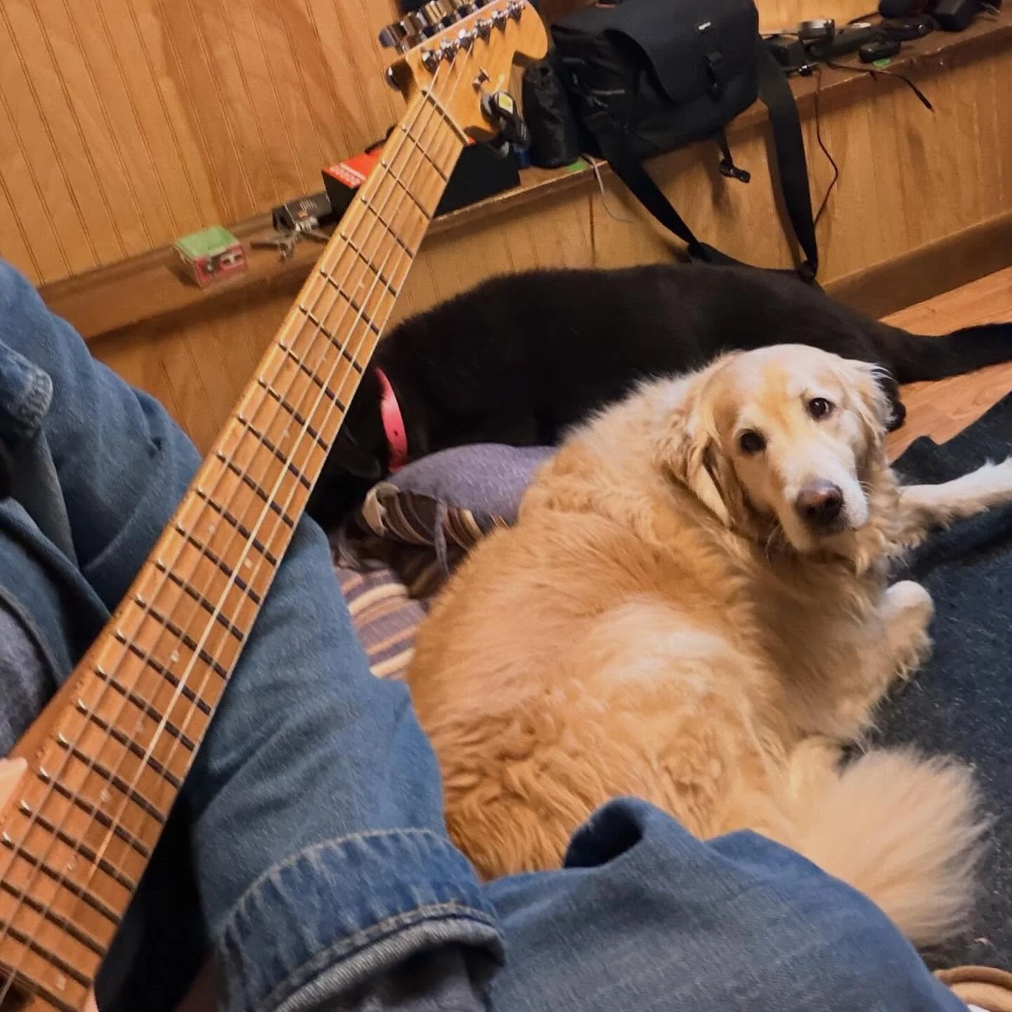 The secret to good guitar one is having doggies in the room while tracking. #100percent