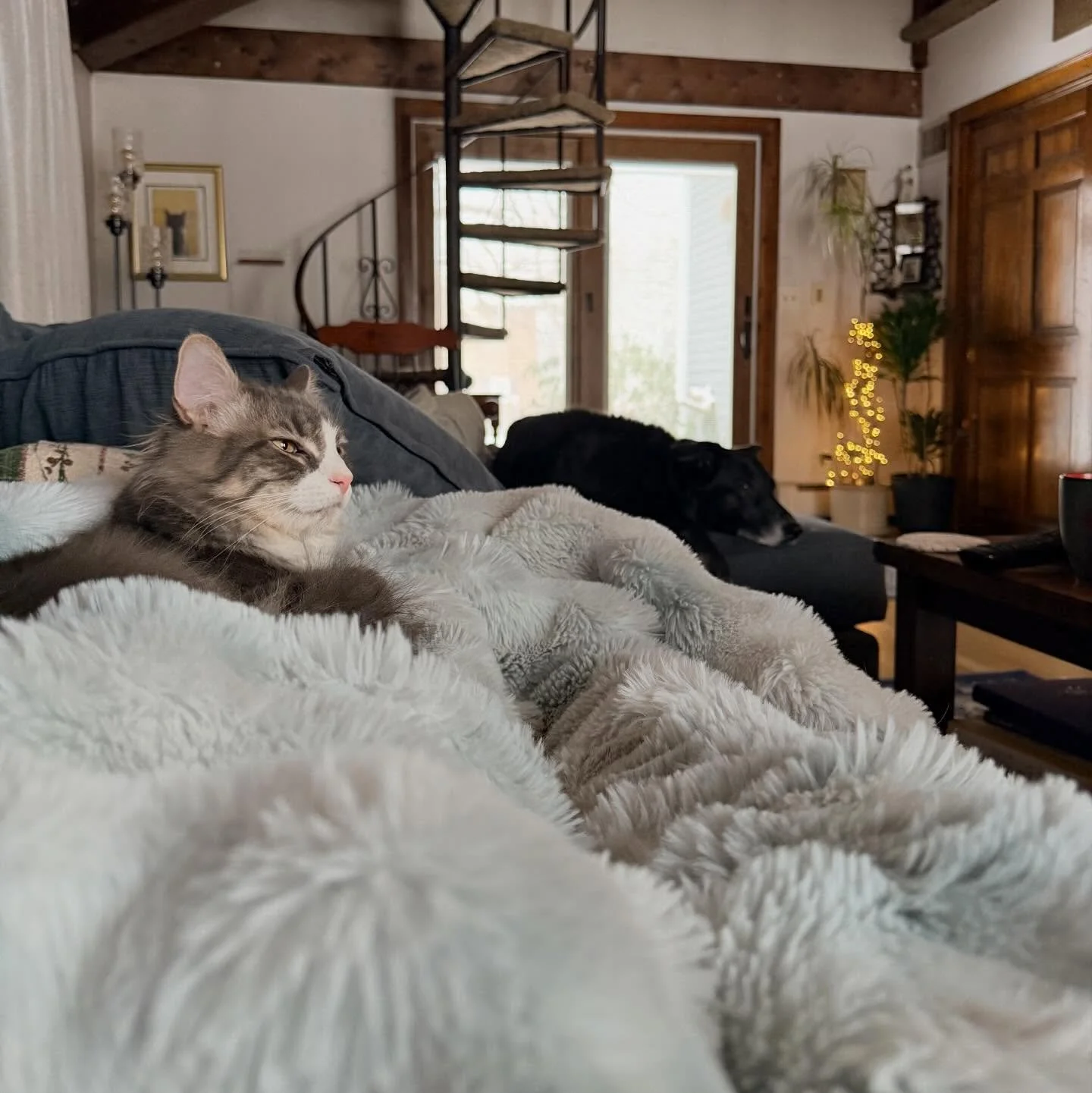 How it started and how it&rsquo;s been going. Good thing we&rsquo;ve got a pot of Chicken and dumplings. I hope you&rsquo;re all staying warm. Congrats to the Seahawks and the Pats. #F🧊