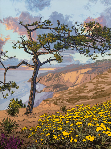 Aged-Torrey-Pine-NF-sml.png