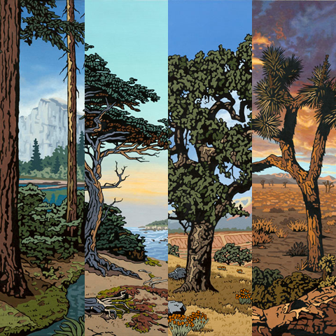 Diverse-California-Expanse-NF-sml.png