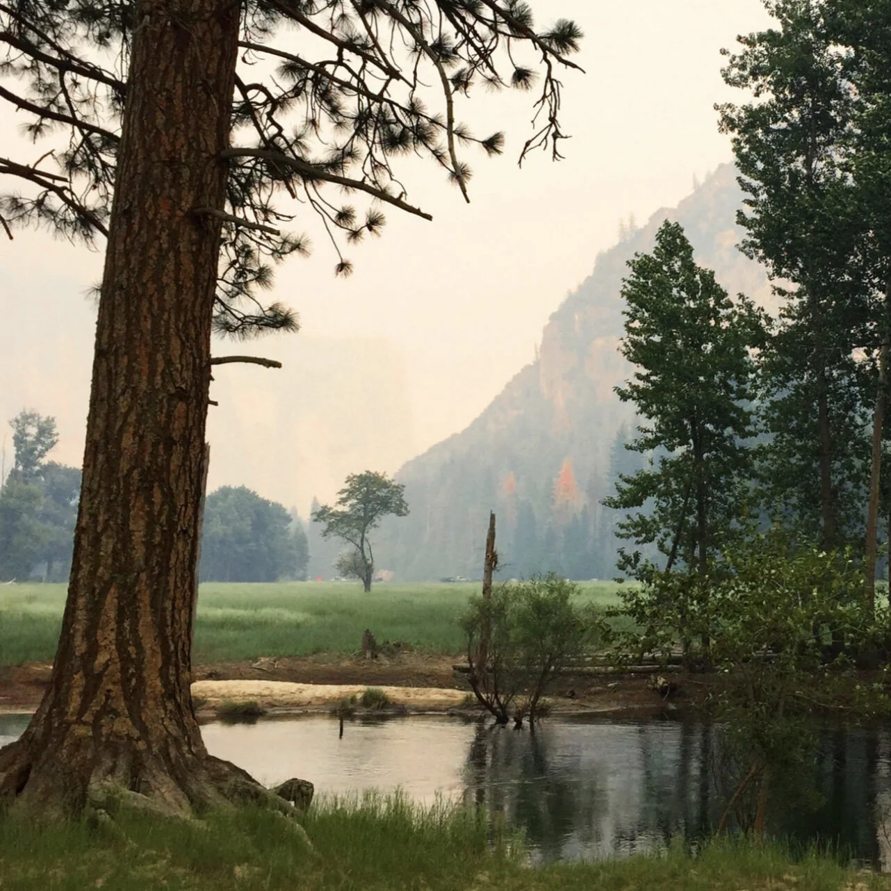 So I Smile and Say, Smoke Gets in Your Eyes