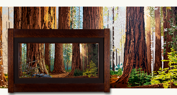 Giant Sequoia Groves – Behind the Scenes