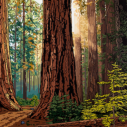 NEW - GIANT SEQUOIA GROVES