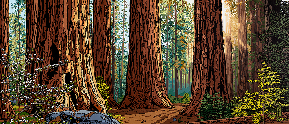 Giant-Sequoia-Groves-NF-MedSmall1000.png
