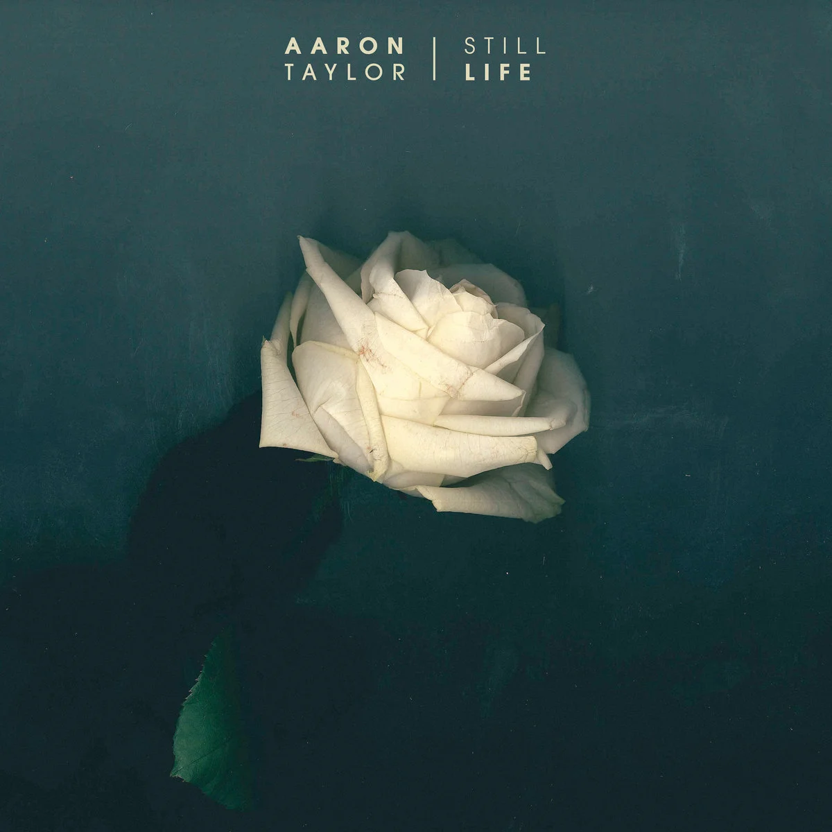 Aaron Taylor - Still Life EP (2015)