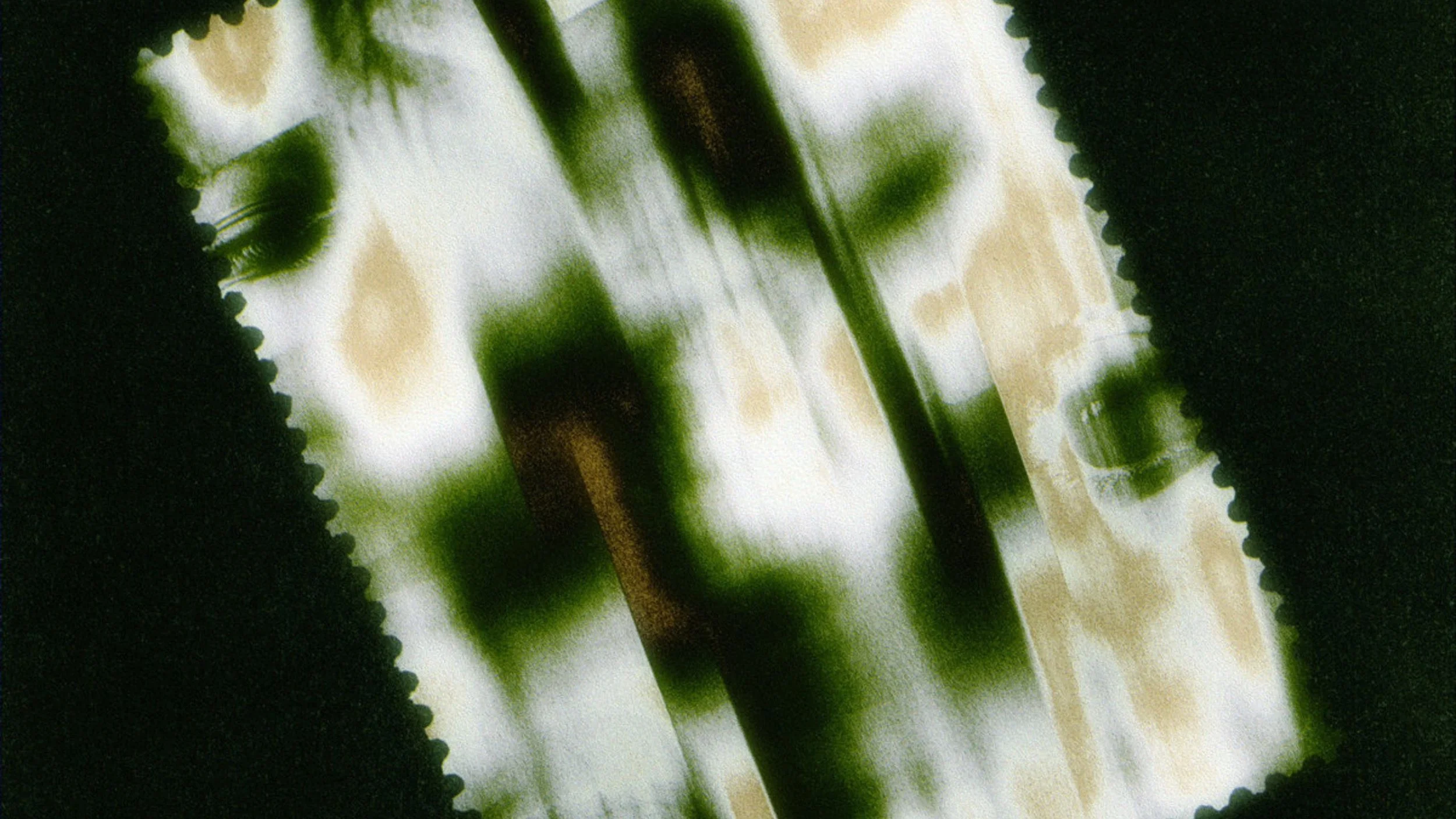 donsurf, last nubian: dreamer