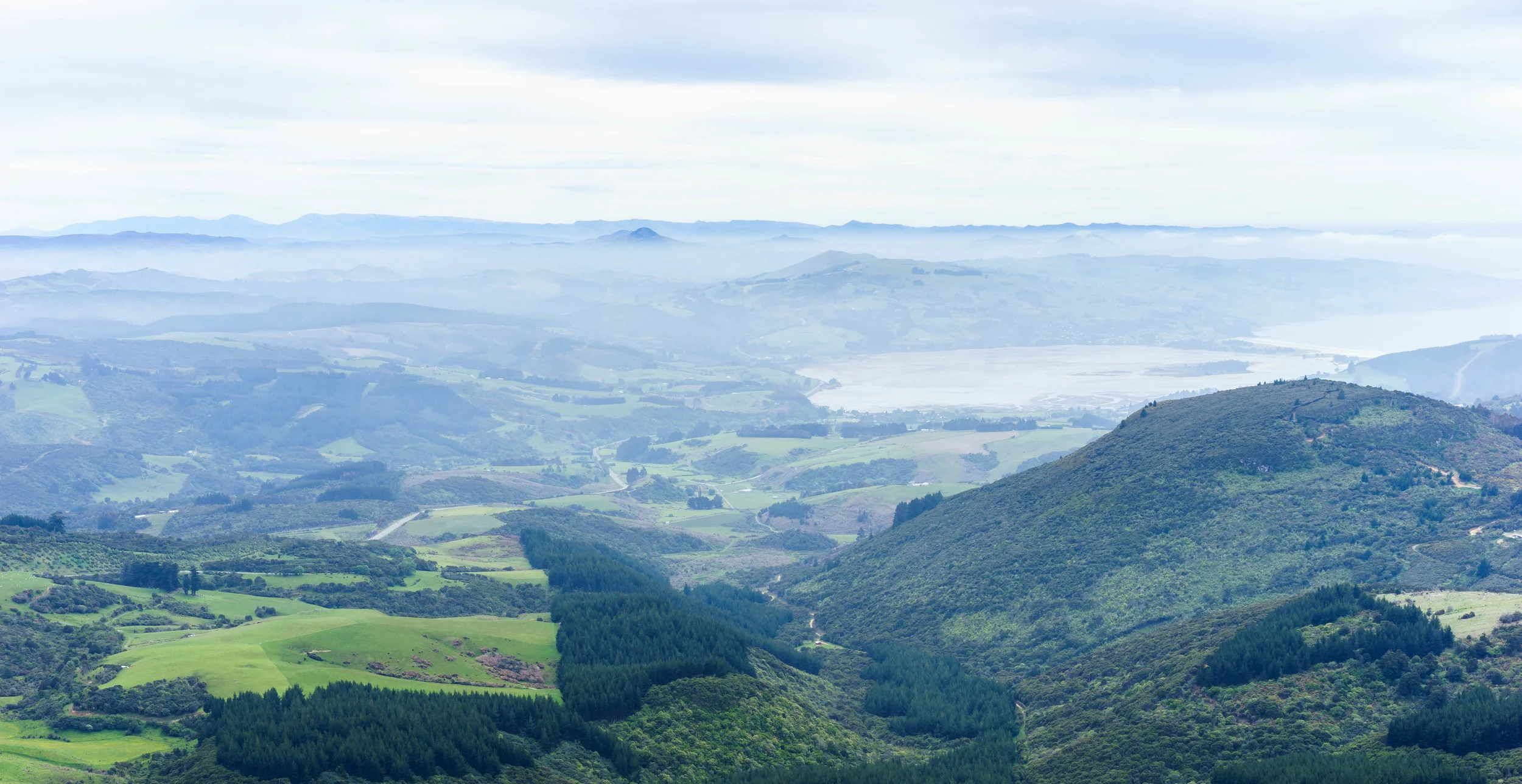 View of Dunedin from Mount Cargill