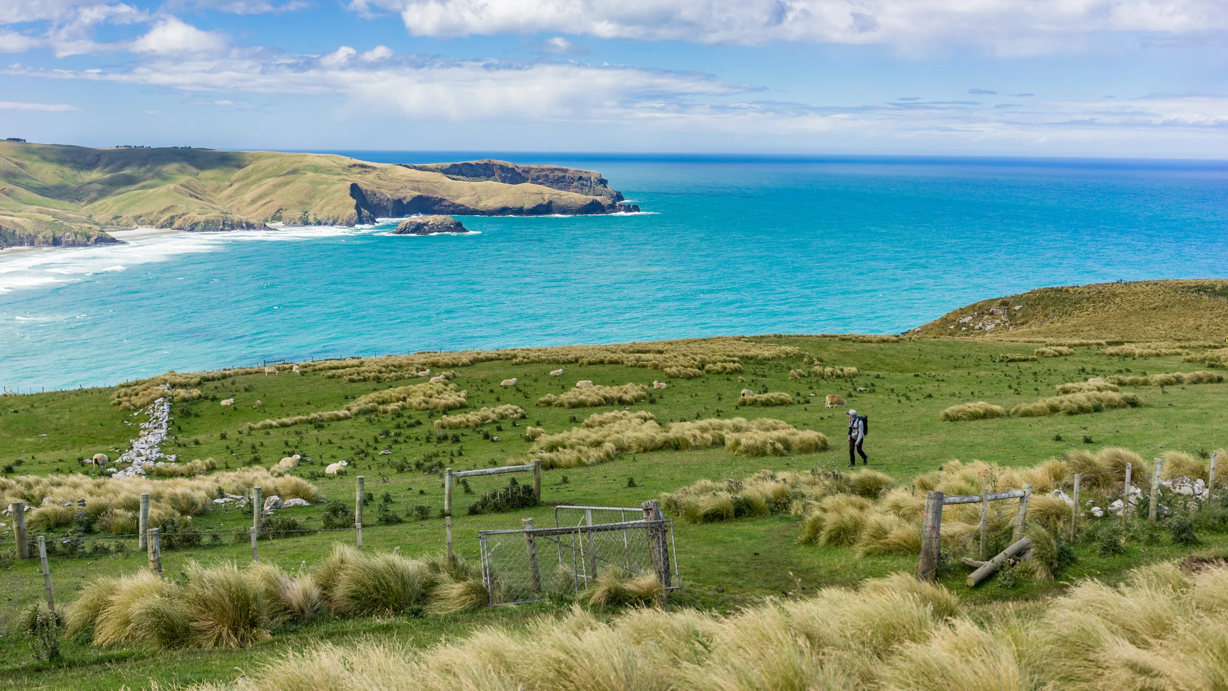 Lovers leap, Sandfly bay w Mom (10 of 33).jpg