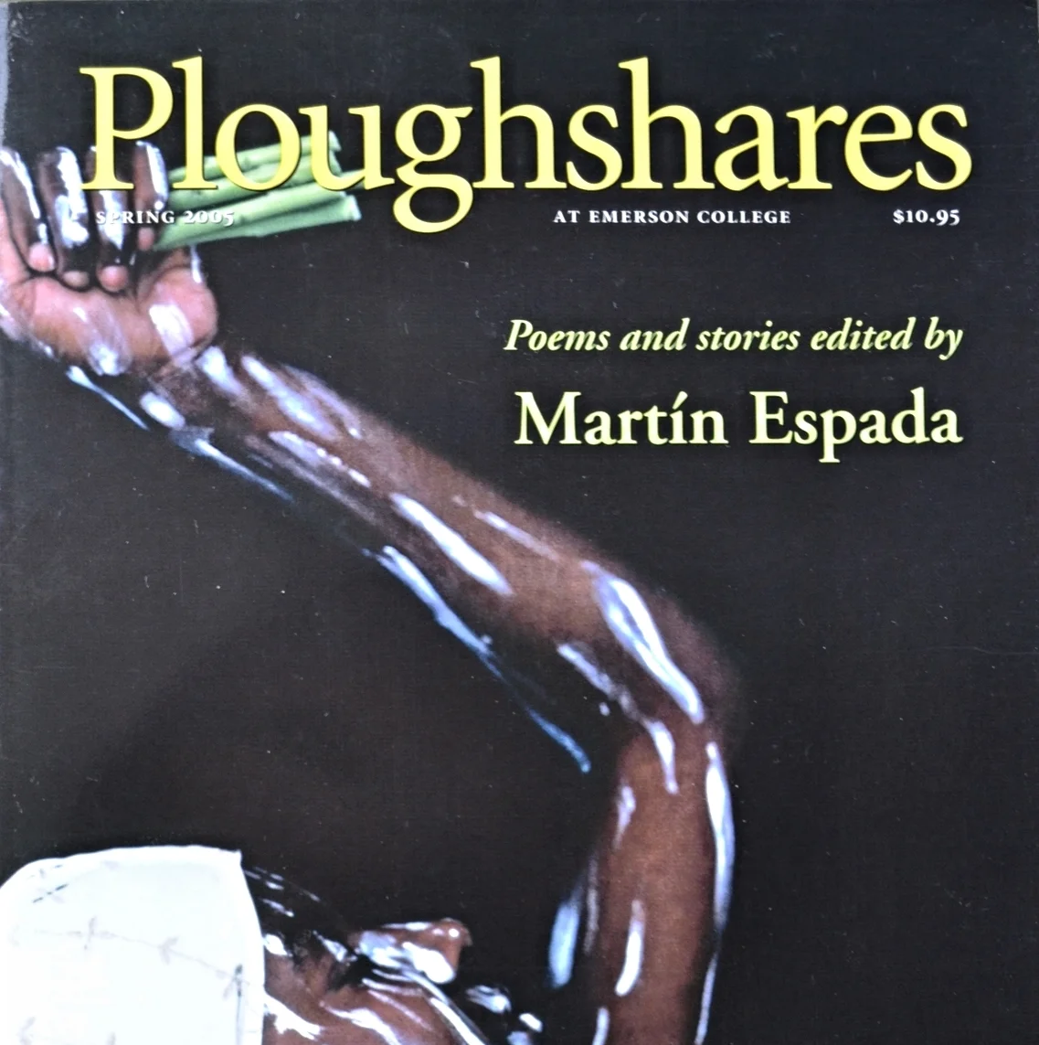 Hudgins3792 - Ploughshares Vol31-1 cover.JPG