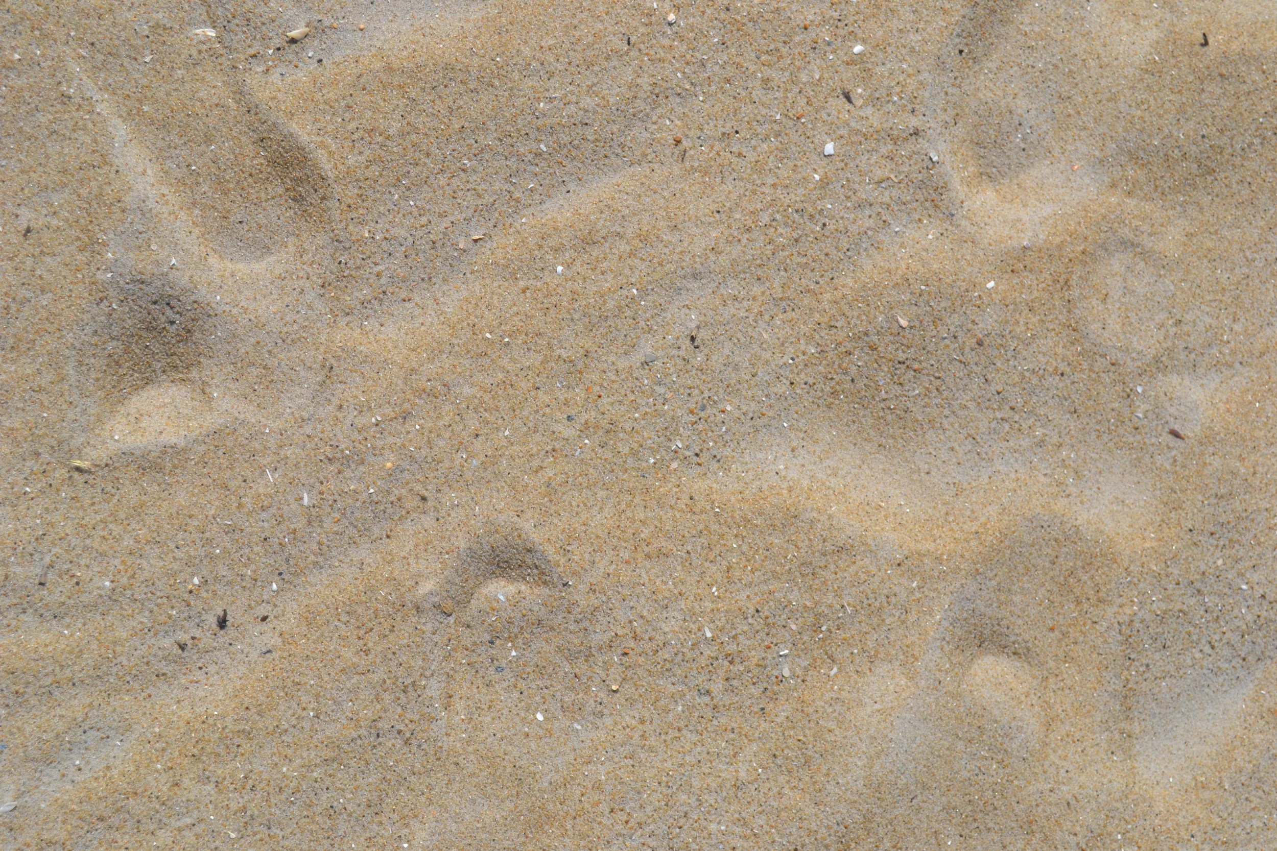 DSC_0560.JPG