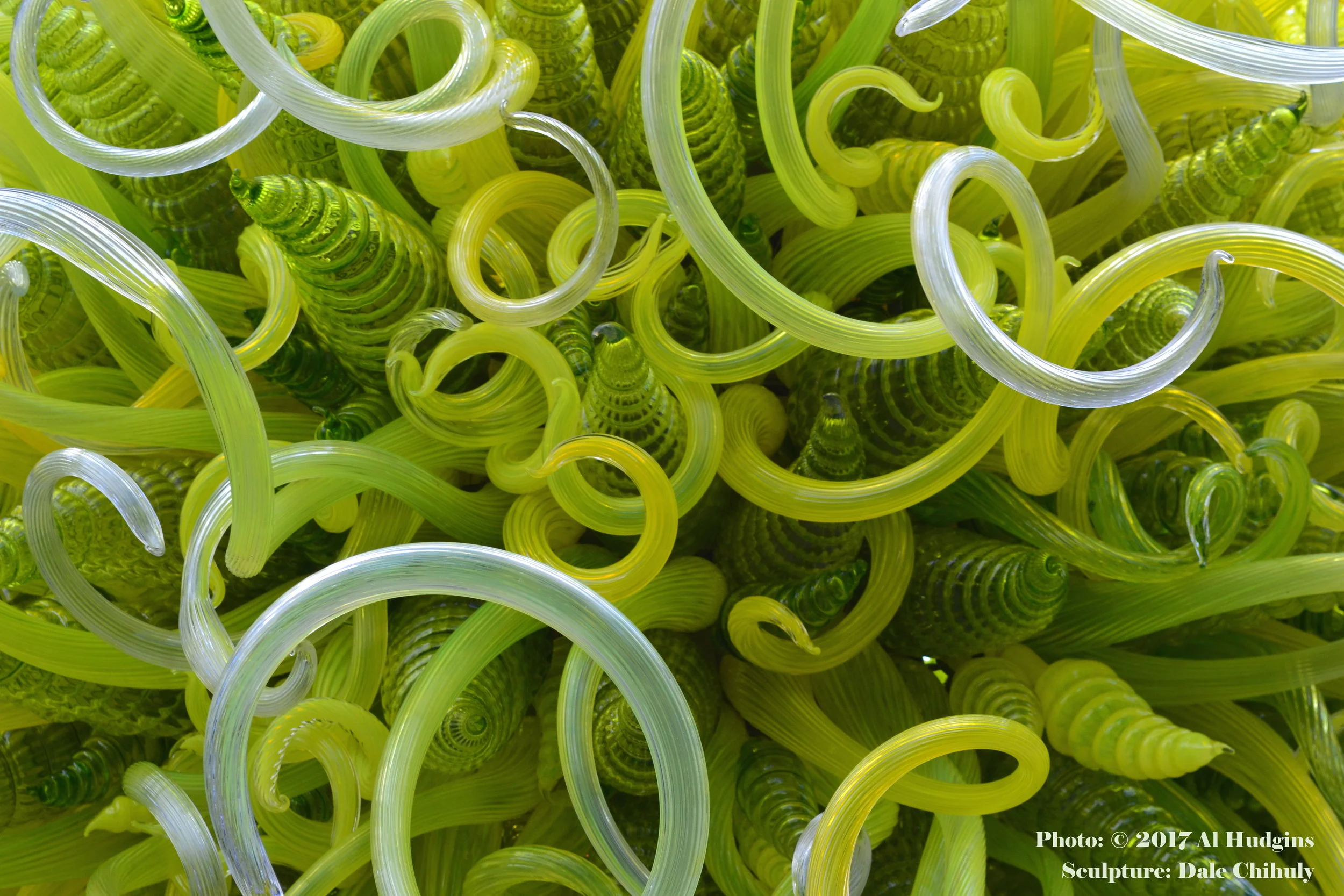 Green Chihuly CU - NYBG - 4Lxvii.JPG