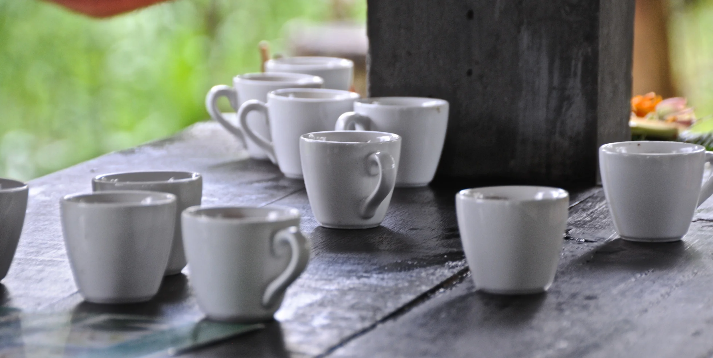 Mother Parkers Coffee Tasting