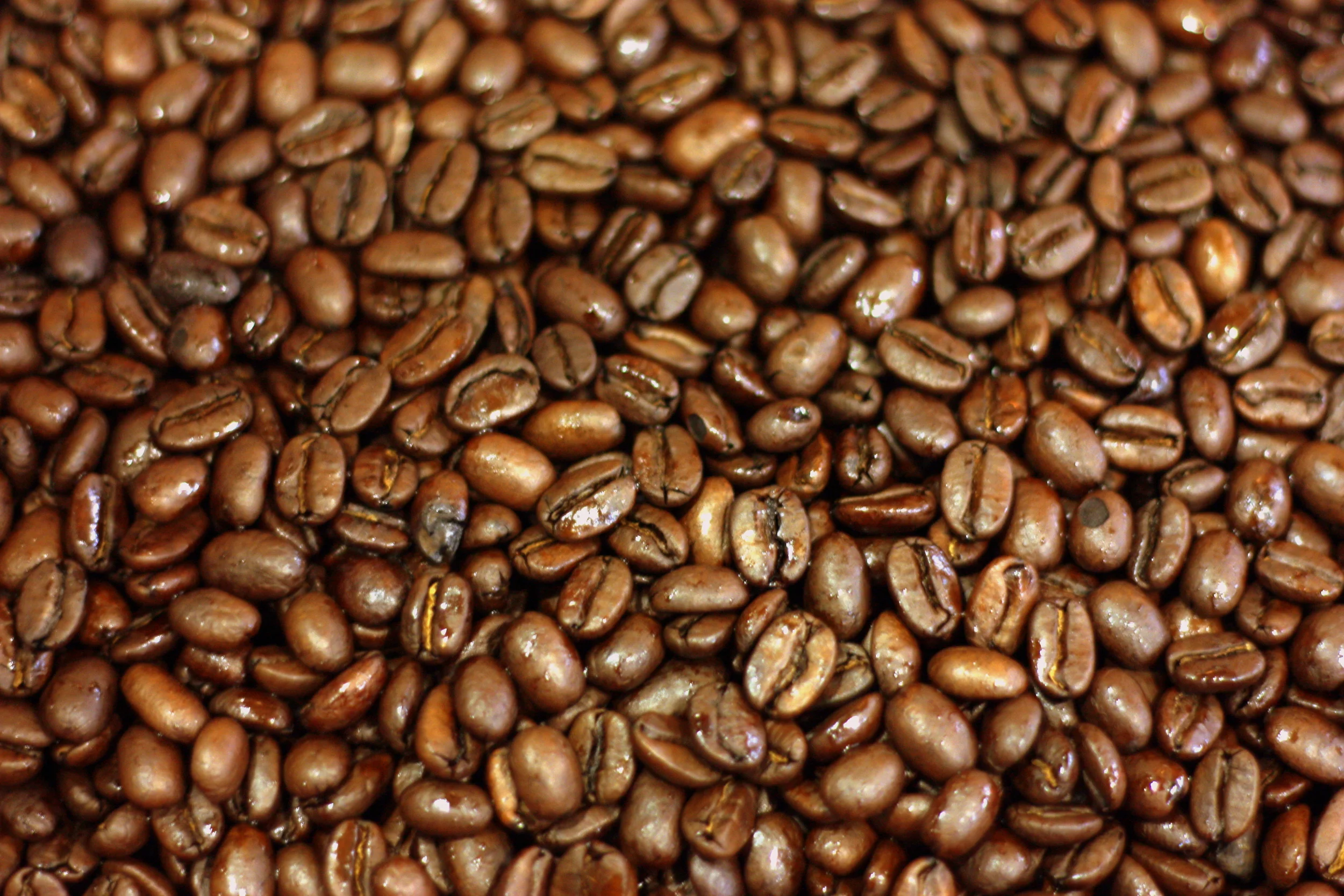 Do You Know These Five Facts About Coffee?