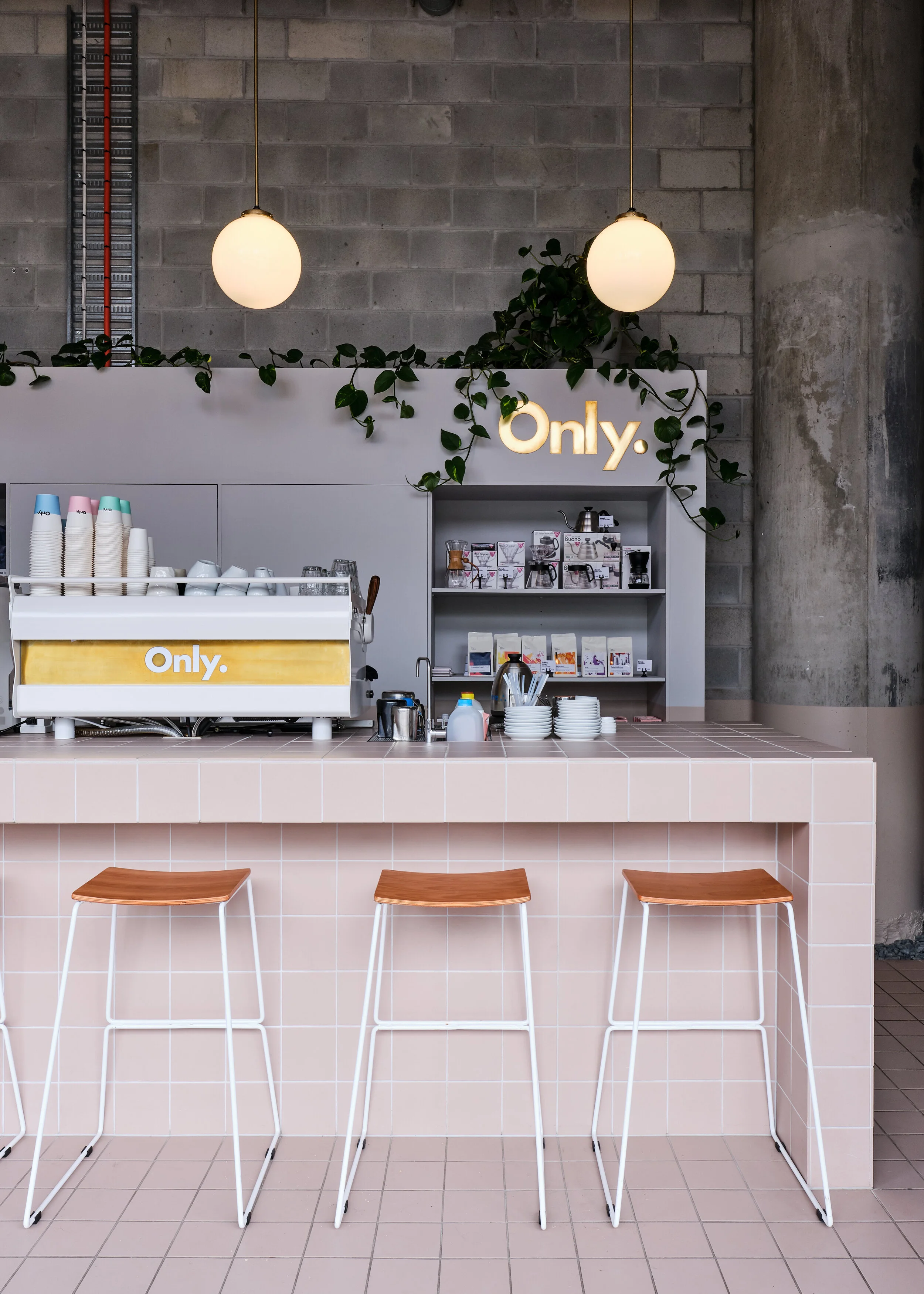 Woodsters x Only SB-3 (1).jpg