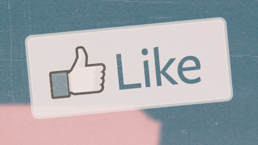 There Are No Likes For…