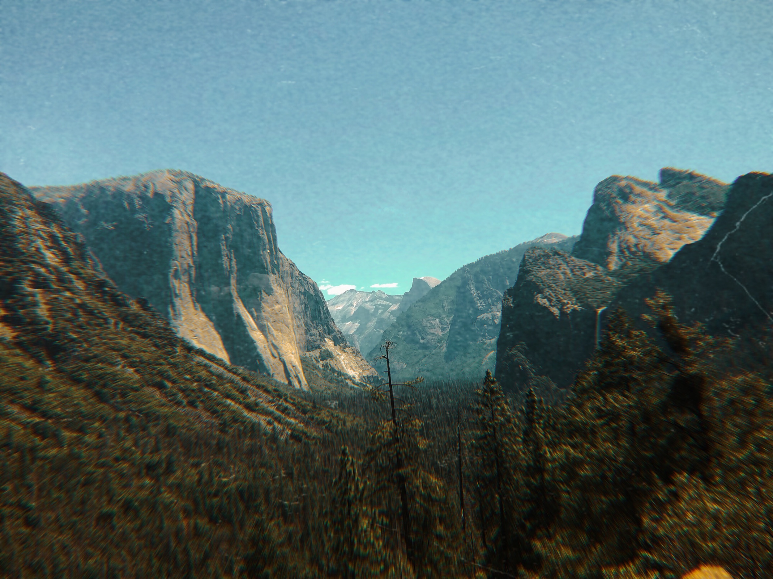 Write Your Own Story