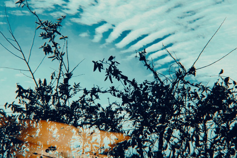 If You Have A Scar…