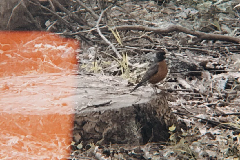 Update: 13 Weeks Without Social Media