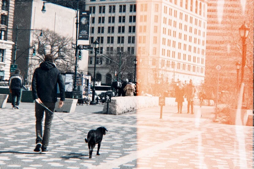 Update: 9 Weeks Without Social Media