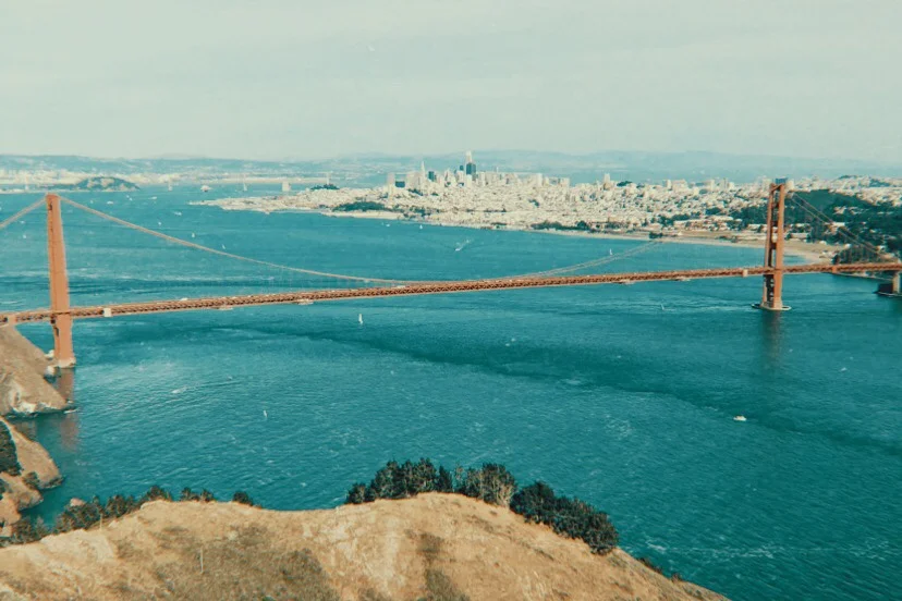 Mirror: rorriM / Reflection: noitcelfeR