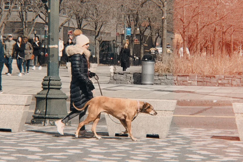 Fear: I Might Not Be The Best Voice