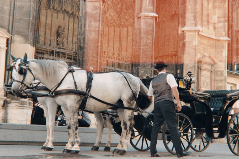 Vienna, Austria: Tour Journal