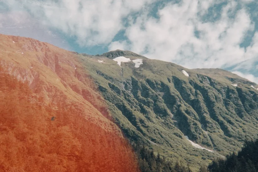 Alaska: Tour Journal