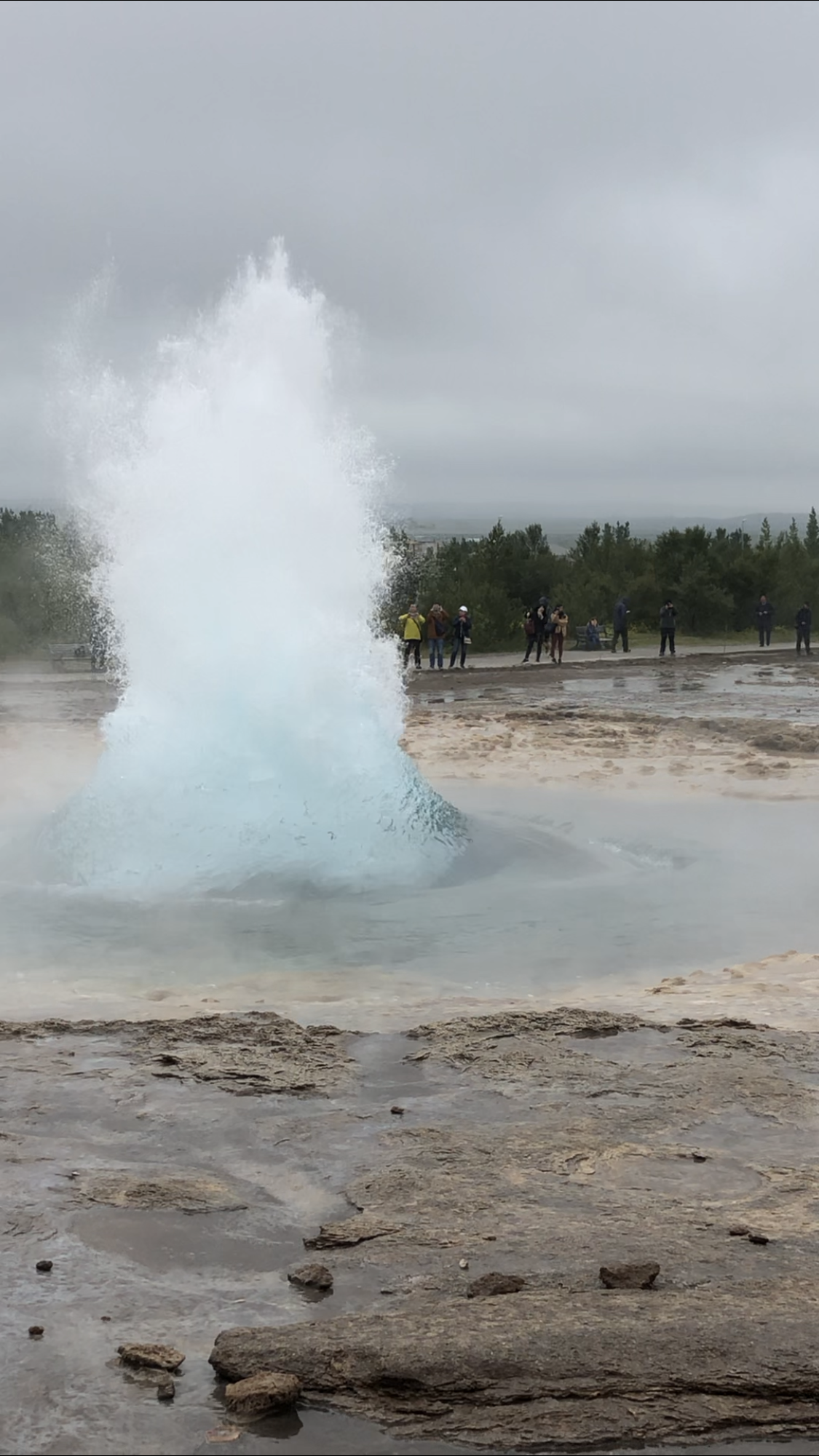 What is Life 'Supposed to Be?'