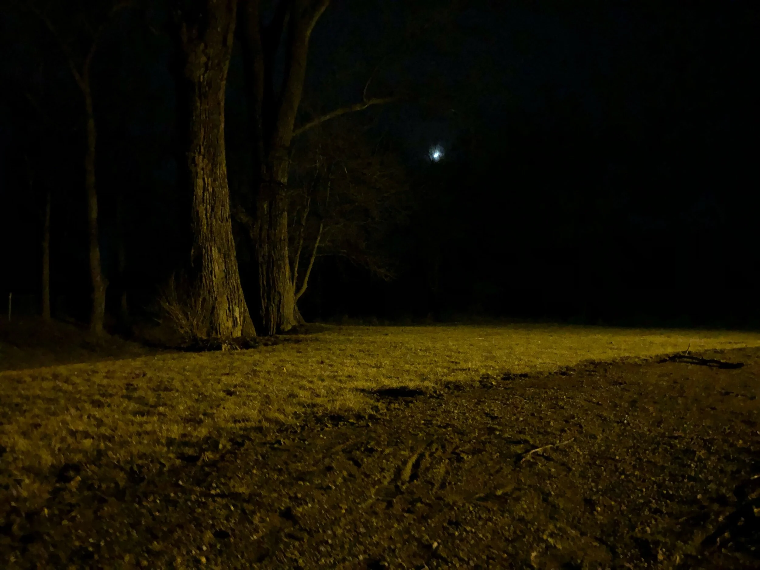 Don’t Tell Me The Ending