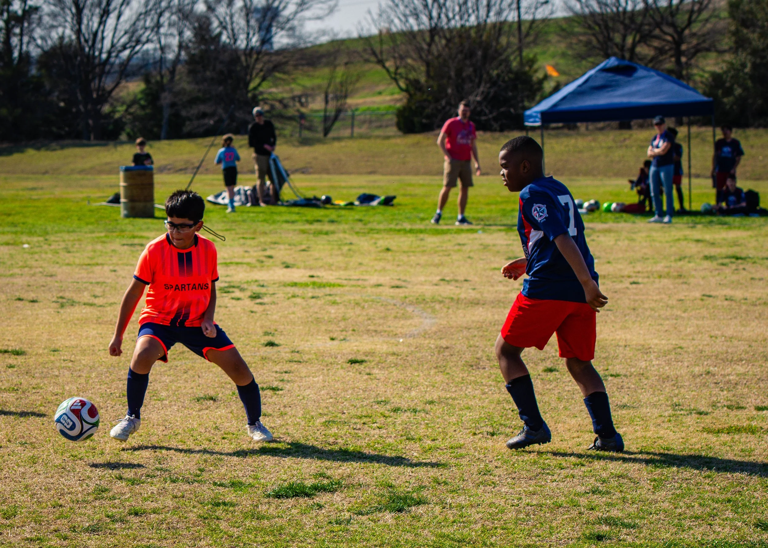 spartans vs ice dragons-2.jpg